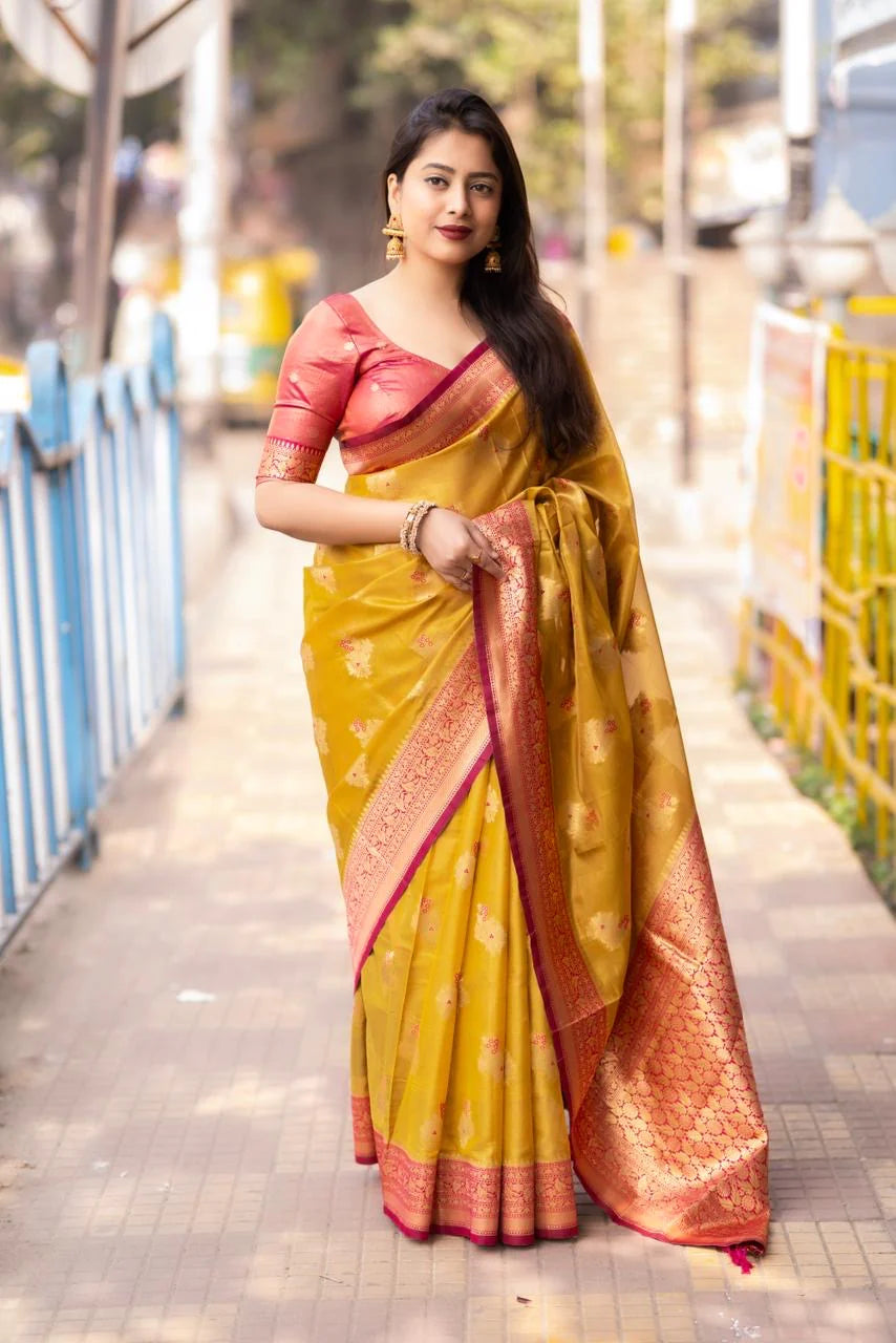 New premium tissue organza banarsi silk saree.