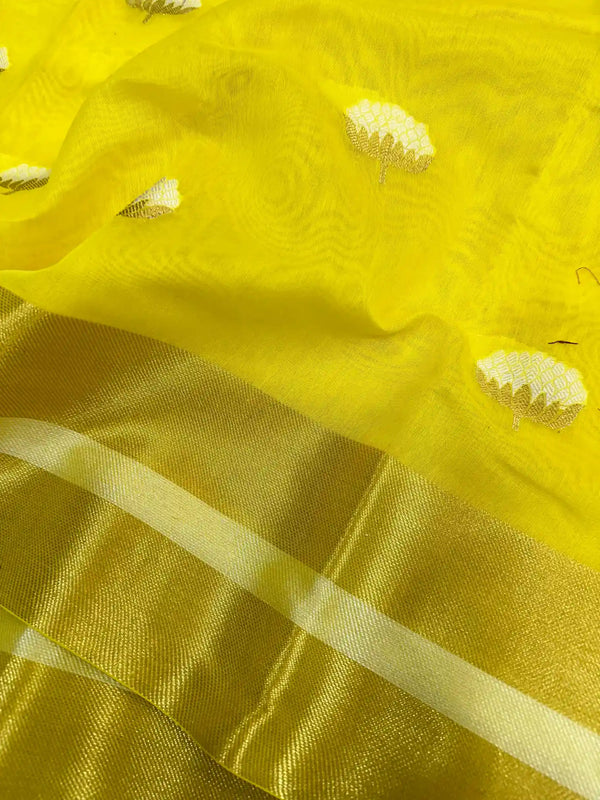 Katrina Kaif Inspired Saree