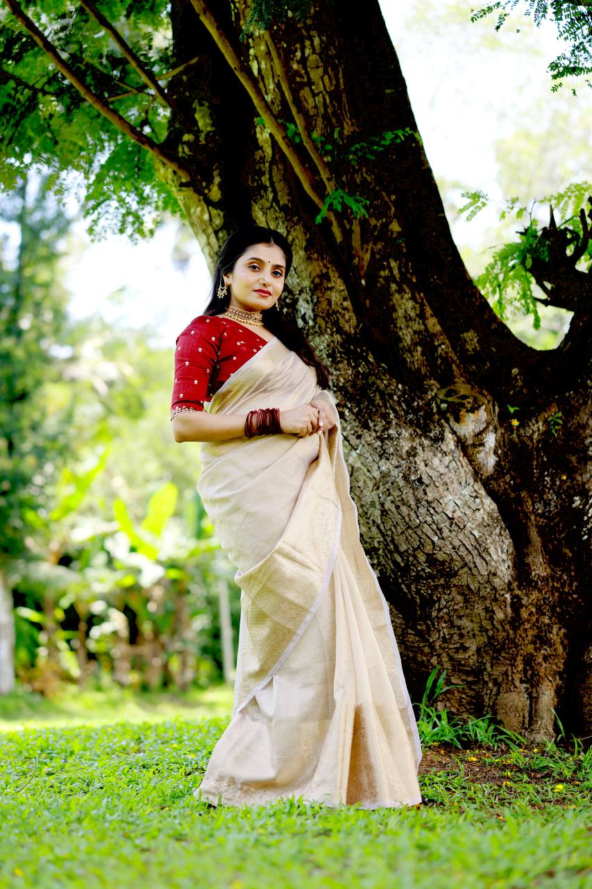 Tissue Banarasi Crush Saree